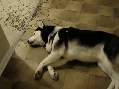 3-140326101043.gif