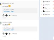 一個影響力大、實戰(zhàn)、干貨的SEO案例