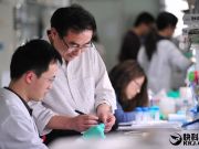 這20家獨(dú)角獸公司給程序員年薪最高：11萬美元起步