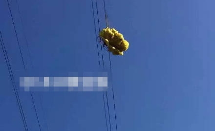 男子玩滑翔傘遇險(xiǎn)：掛在11萬(wàn)伏高壓線(xiàn)上