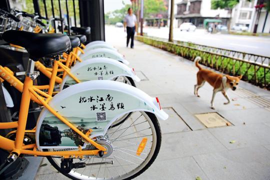 烏鎮(zhèn) 見聞 大會 互聯(lián)網(wǎng) 世界