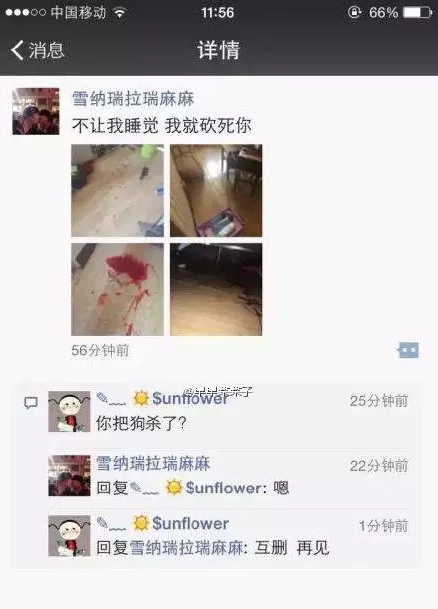 長春女子虐狗事件刷爆朋友圈：愛狗人士憤怒討伐