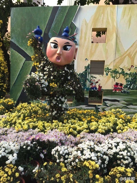 廣州驚現(xiàn)菊花葫蘆娃：造型雷人 網(wǎng)友看瞎