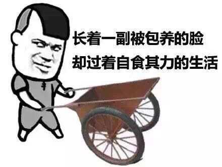 主要看氣質(zhì)，10款高顏值A(chǔ)PP帶你一起奔小康