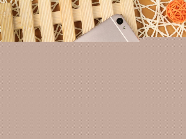 配備極速指紋 vivo X6官網(wǎng)報價2498元 