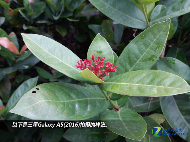 雙2.5D+全網(wǎng)通4G 三星A5(2016)購機(jī)手冊