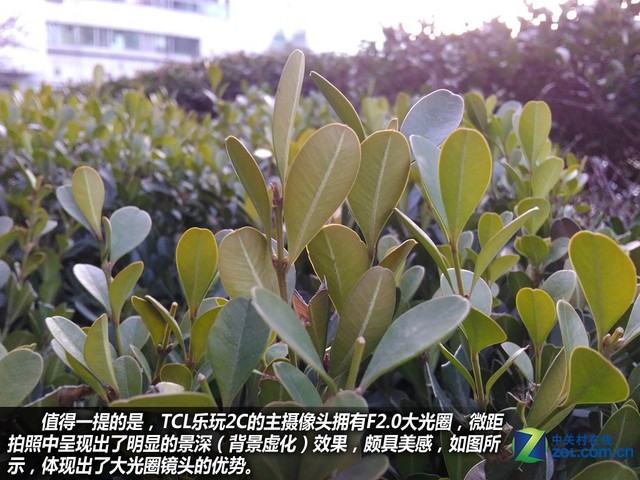 百元指紋手機(jī)好選擇 TCL樂玩2C購機(jī)手冊