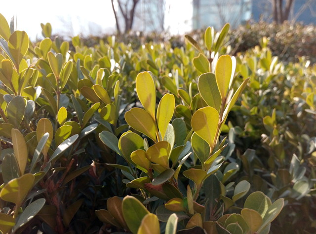 誰更好用? 魅藍(lán)metal/紅米Note 3對比 