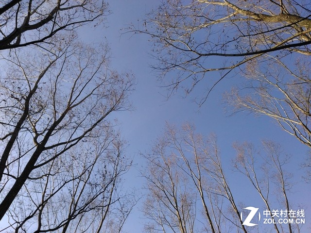 樣張秀：帶著TCL樂玩2C感受北京深冬