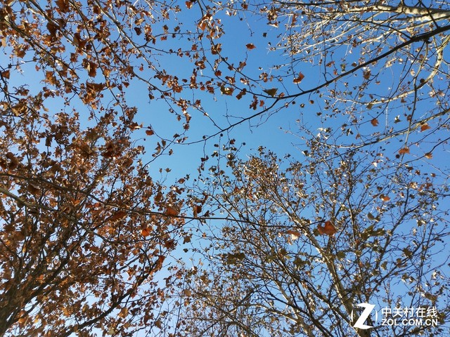 翻轉(zhuǎn)鏡頭看世界 榮耀7i拍照功力深度解析 