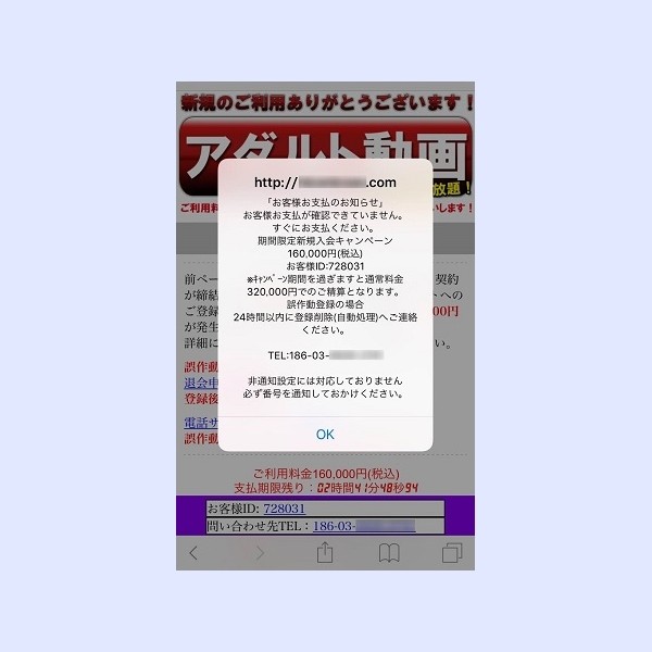網(wǎng)絡(luò)詐騙 網(wǎng)絡(luò)病毒 惡意程序