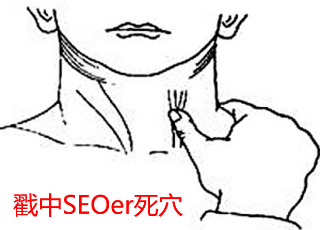 戳中SEOer死穴的網(wǎng)站