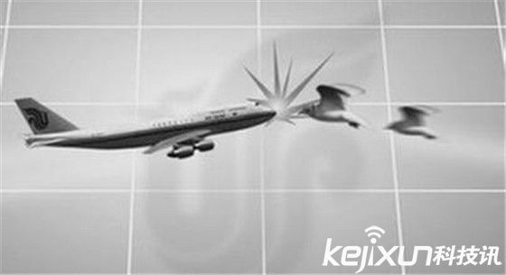 無人機(jī)多功能卻慘遭禁止？誤撞飛機(jī)留后患