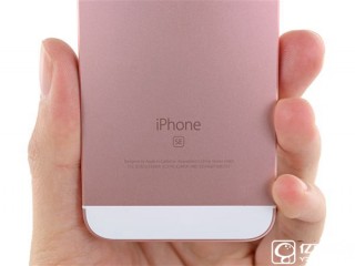 iPhone SE命運如此悲催：被蘋果坑慘