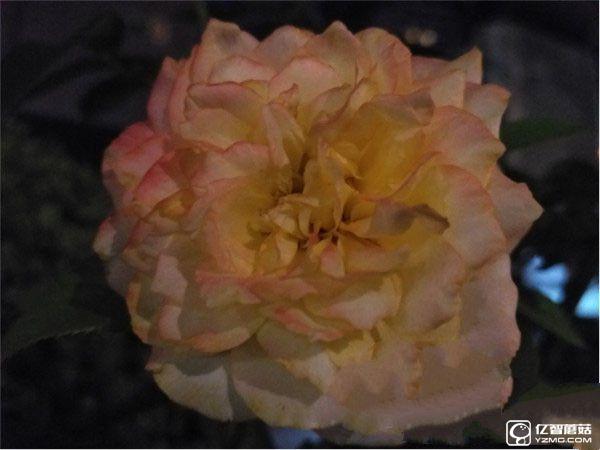 紅米手機(jī)3S/紅米Note 3/紅米手機(jī)3標(biāo)準(zhǔn)版/高配版對(duì)比