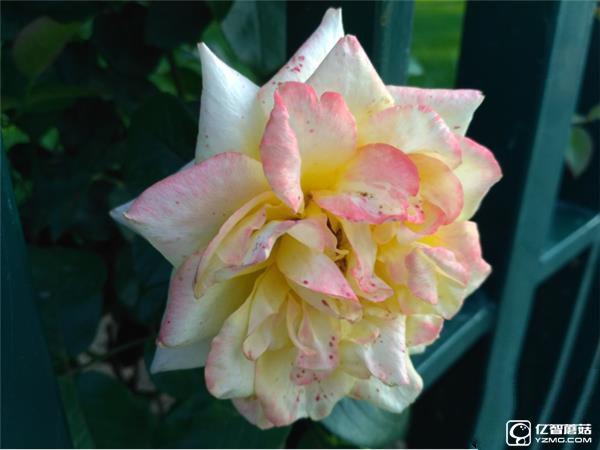 699元紅米3S深度評測：驍龍430、MIUI 8是亮點(diǎn)