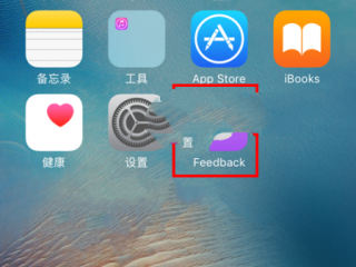 蘋果Feedback是什么？有什么用？怎么刪除？