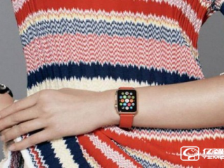 盤點(diǎn)最佳第三方Apple Watch表帶：哪一款是你的最愛