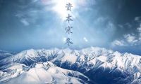 3D轉(zhuǎn)VR體驗 盟云移軟《拳擊比賽開場》軟著發(fā)布