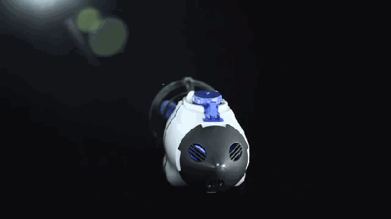 有了這個玩意你會驚嘆：美人魚竟然是這么養(yǎng)成的！