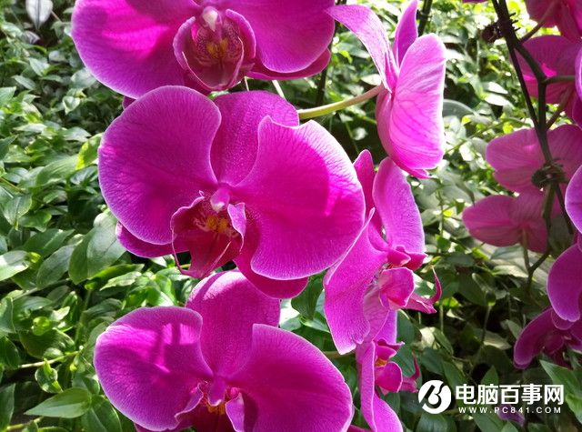 魅藍E半月使用體驗評測：品質(zhì)實力不輸顏值