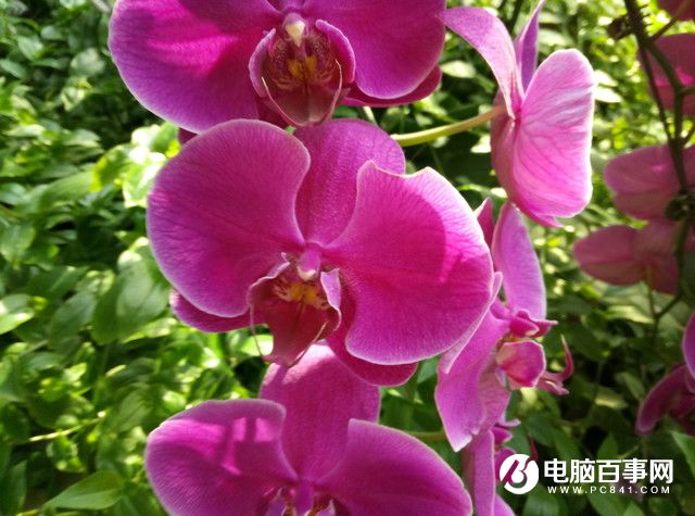 魅藍E半月使用體驗評測：品質(zhì)實力不輸顏值