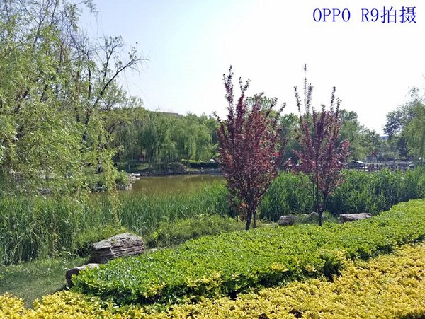 OPPO R9和360 N4S拍照哪個好？樣張對比