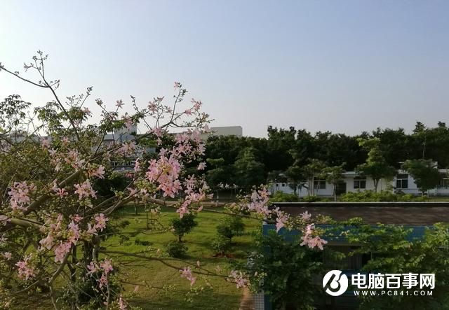 文藝范商務(wù)旗艦 TCL 950詳細(xì)評(píng)測(cè)
