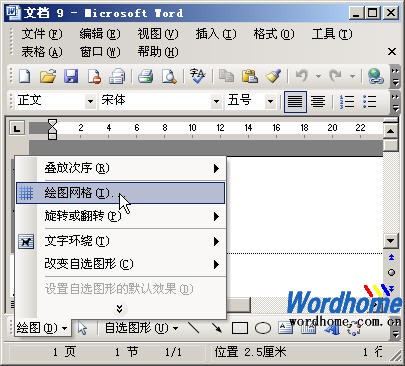 Word繪圖工具欄精確移動(dòng)圖片的設(shè)置
