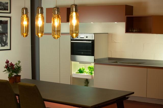 別羨慕人家別墅有菜園 這個(gè)農(nóng)場能放到你家里！