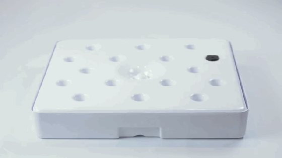 別羨慕人家別墅有菜園 這個(gè)農(nóng)場能放到你家里！