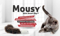 Mousy智能逗貓器：還不快給喵大人奉上這個智能逗貓器