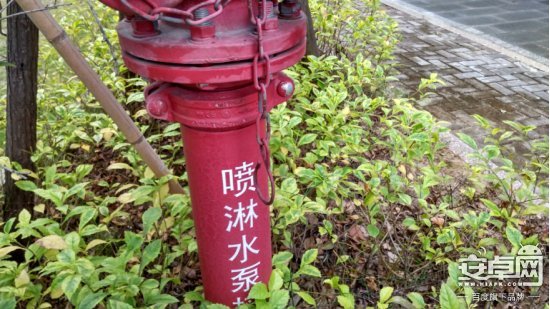 5837ae046f8e9.jpg