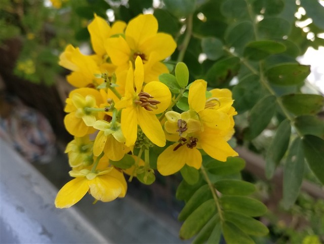 一加3T拍照怎么樣 自拍升級(jí)+樣張?jiān)u測(cè)