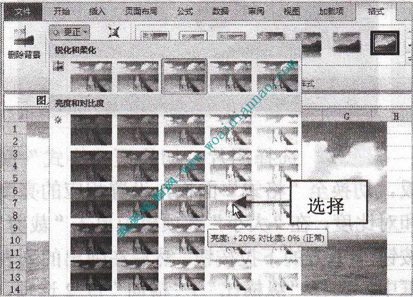 在Excel2010中設(shè)置圖片屬性