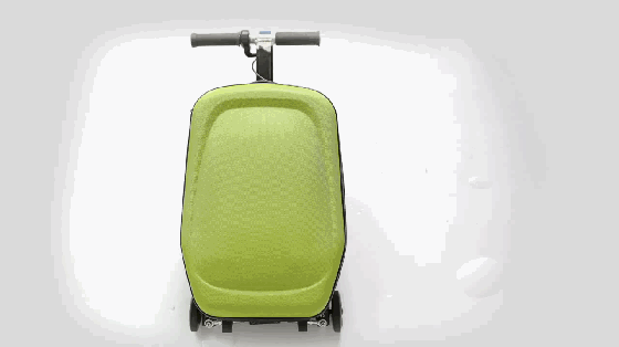 這不就是大媽買菜的神器？只不過帶個電動滑板車