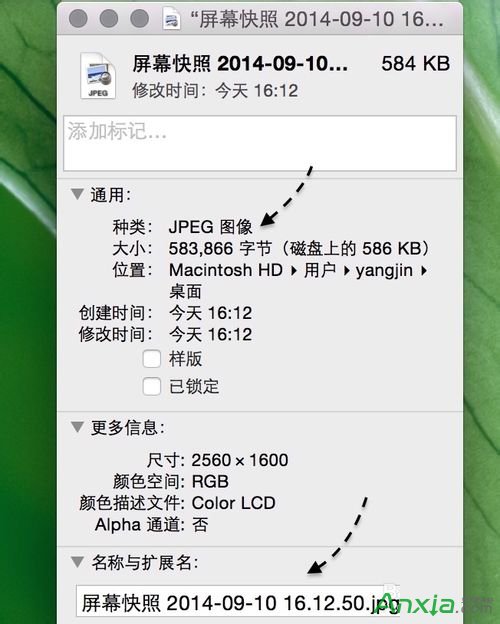 mac,蘋果電腦,mac截屏圖片更改成JPG格式,mac截屏圖片更改成jpg格式,mac png轉(zhuǎn)jpg格式,mac jpg格式,mac轉(zhuǎn)jpg格式