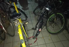 兩名護(hù)士給ofo共享單車上鎖 處盜竊罪被行政拘留5日