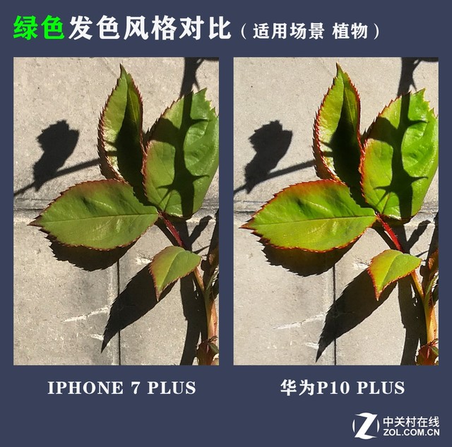 華為P10 Plus拍照把iPhone 7P越甩越遠(yuǎn) 