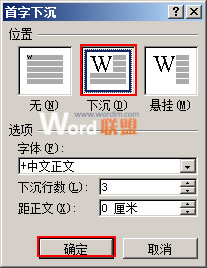 在對話框中進行首字下沉設(shè)置