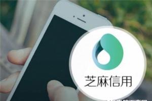 芝麻信用、騰訊征信……你們在無照裸奔呦