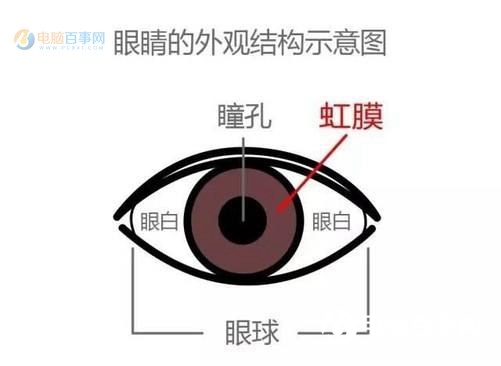 虹膜識別和眼紋識別哪個好？虹膜識別和眼紋識別的區(qū)別