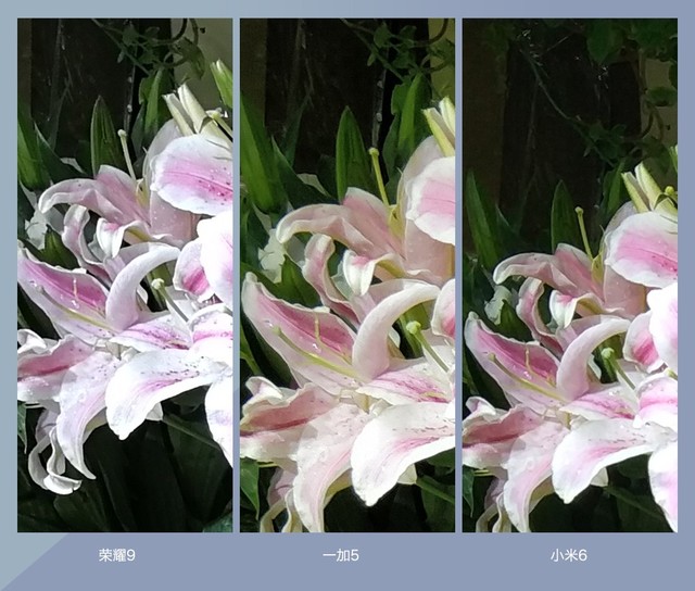 拍照誰(shuí)更強(qiáng)？一加5 、小米6、榮耀9拍照樣張對(duì)比