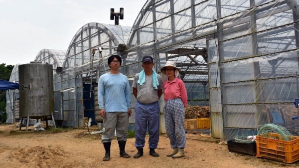 機(jī)器或能替代人類分揀黃瓜 人工智能真的無所不能么？