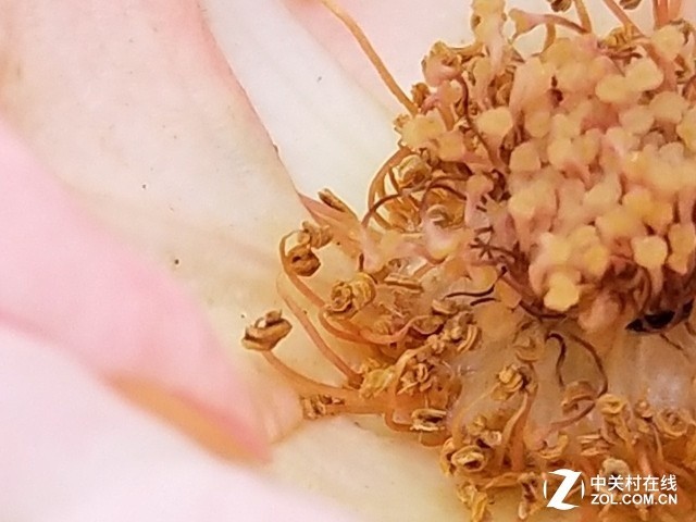 vivo X20評測：屏幕2.0時(shí)代顛覆的開端（不發(fā)） 