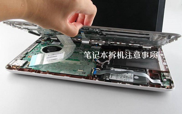 筆記本電腦拆機注意事項 新手怎么拆解筆記本電腦？