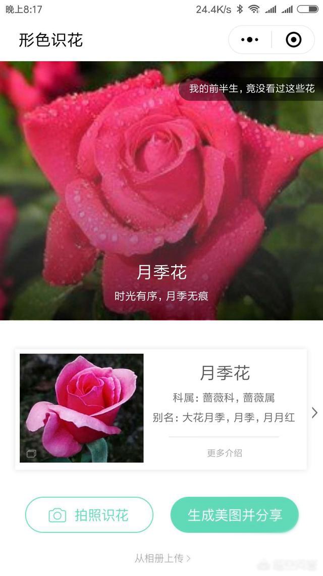 好玩的微信小程序有哪些？十款實用微信小程序推薦