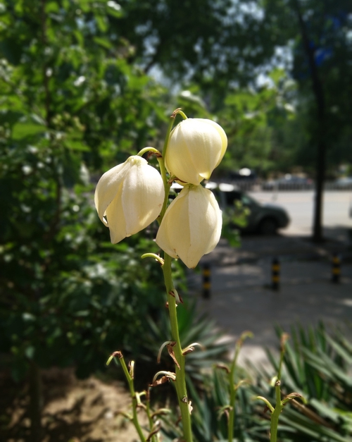 當(dāng)信仰有了性價(jià)比 諾基亞X6全面評測