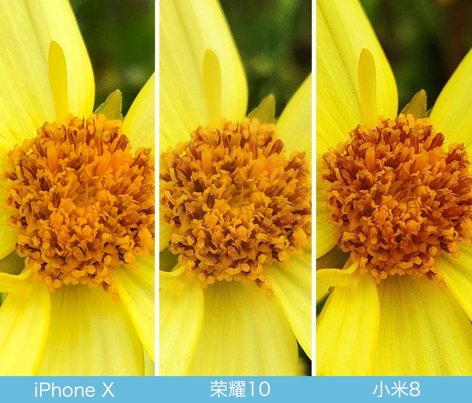 iPhone X、榮耀10、小米8拍照對(duì)比評(píng)測 蘋果秒殺一切？