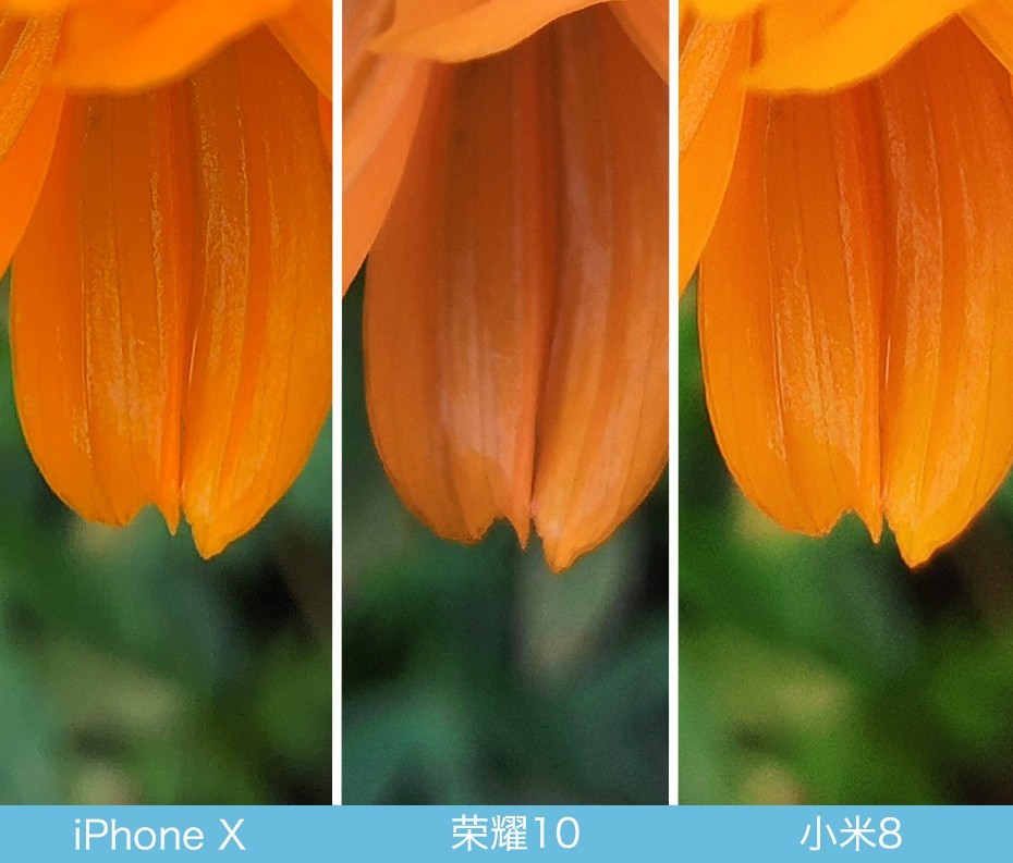 iPhone X、榮耀10、小米8拍照對(duì)比評(píng)測 蘋果秒殺一切？